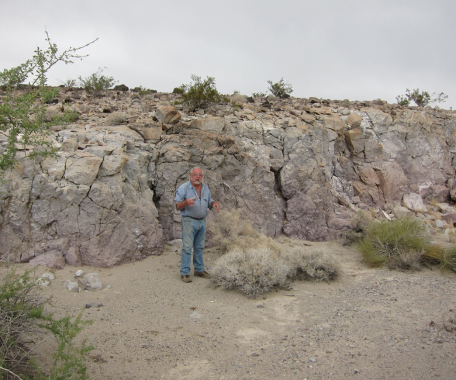 Bob Reynolds in front of Peach Springs Tuff, Cady Mts.