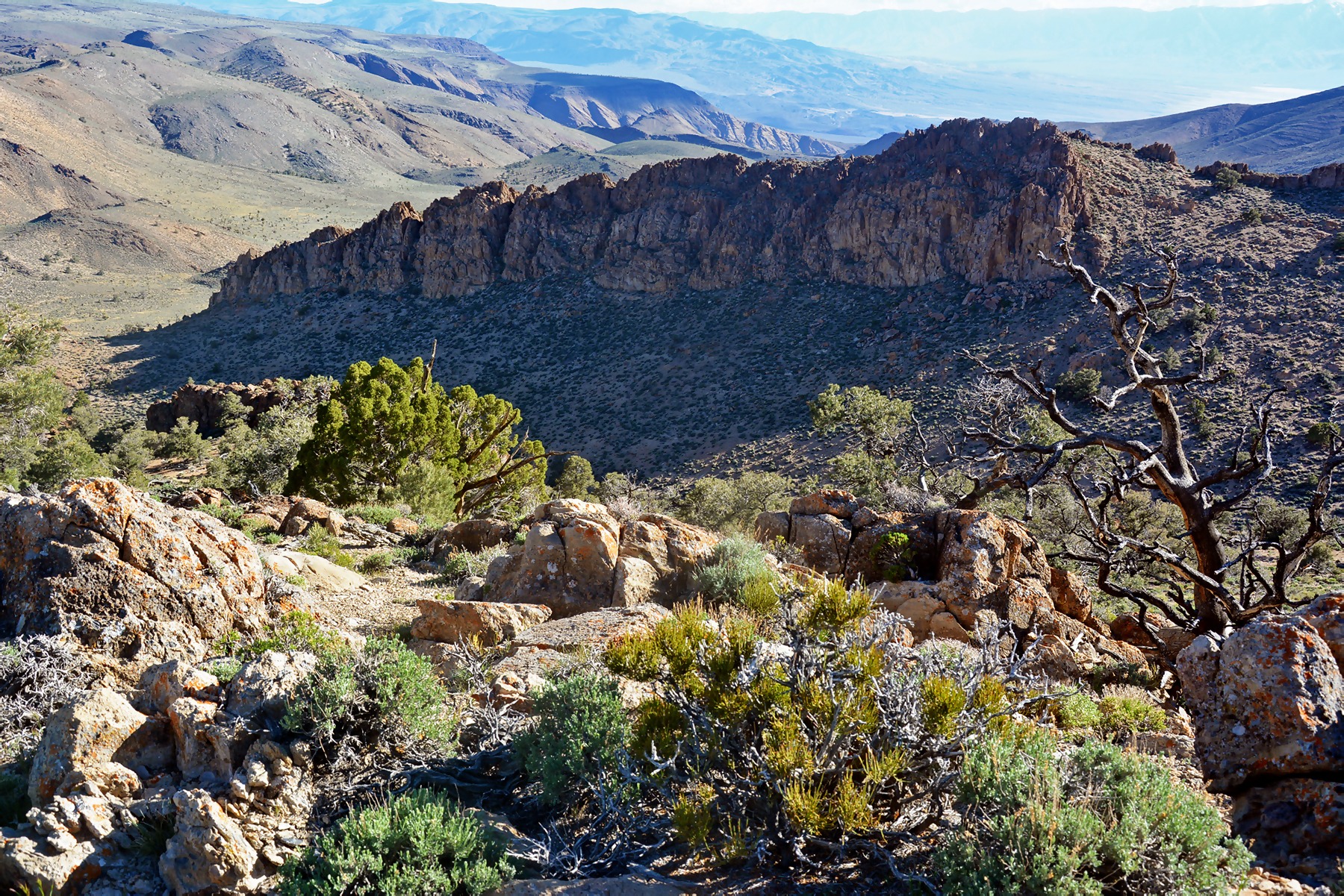 A view of the rugged and remote Conglomerate Mesa where conservationists are fighting a potential industrial-scale cyanide heap leach operation. Photo: Evan Frost. Courtesy of Friends of the Inyo. 